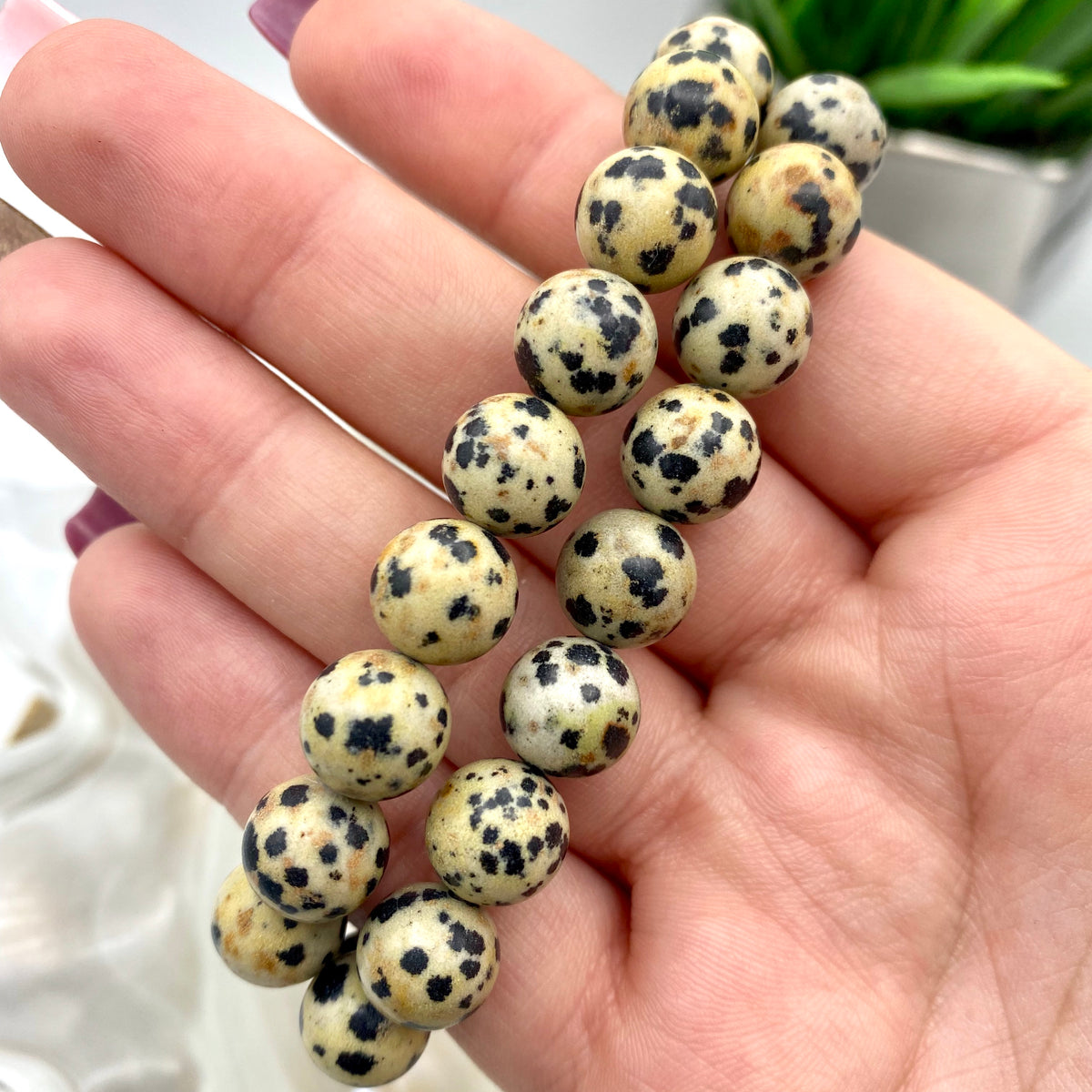 Dalmation Jasper Bracelet - 10mm