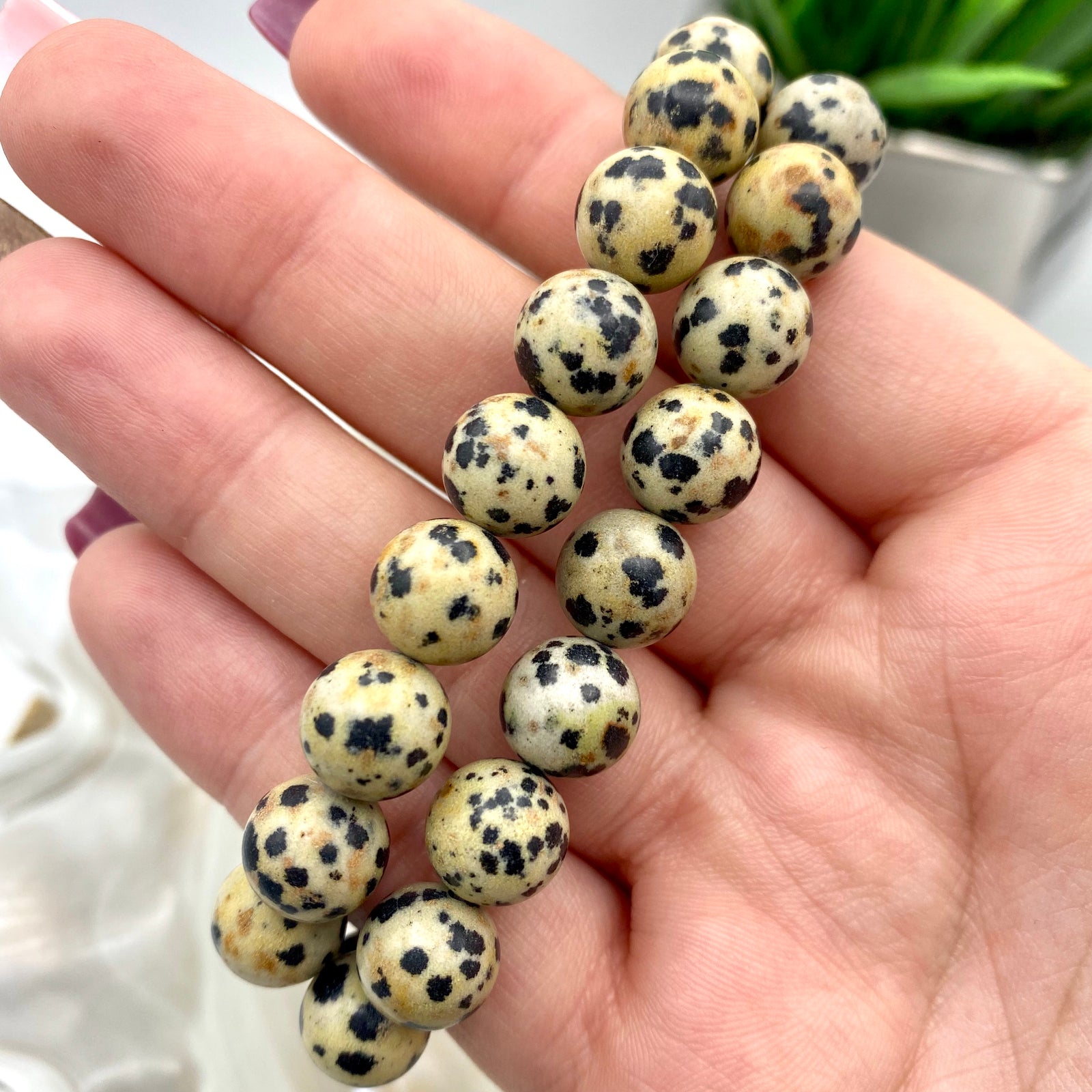 Dalmation Jasper Bracelet - 10mm