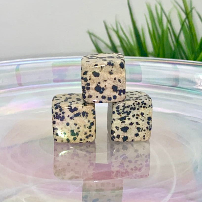 Dalmation Jasper Cube