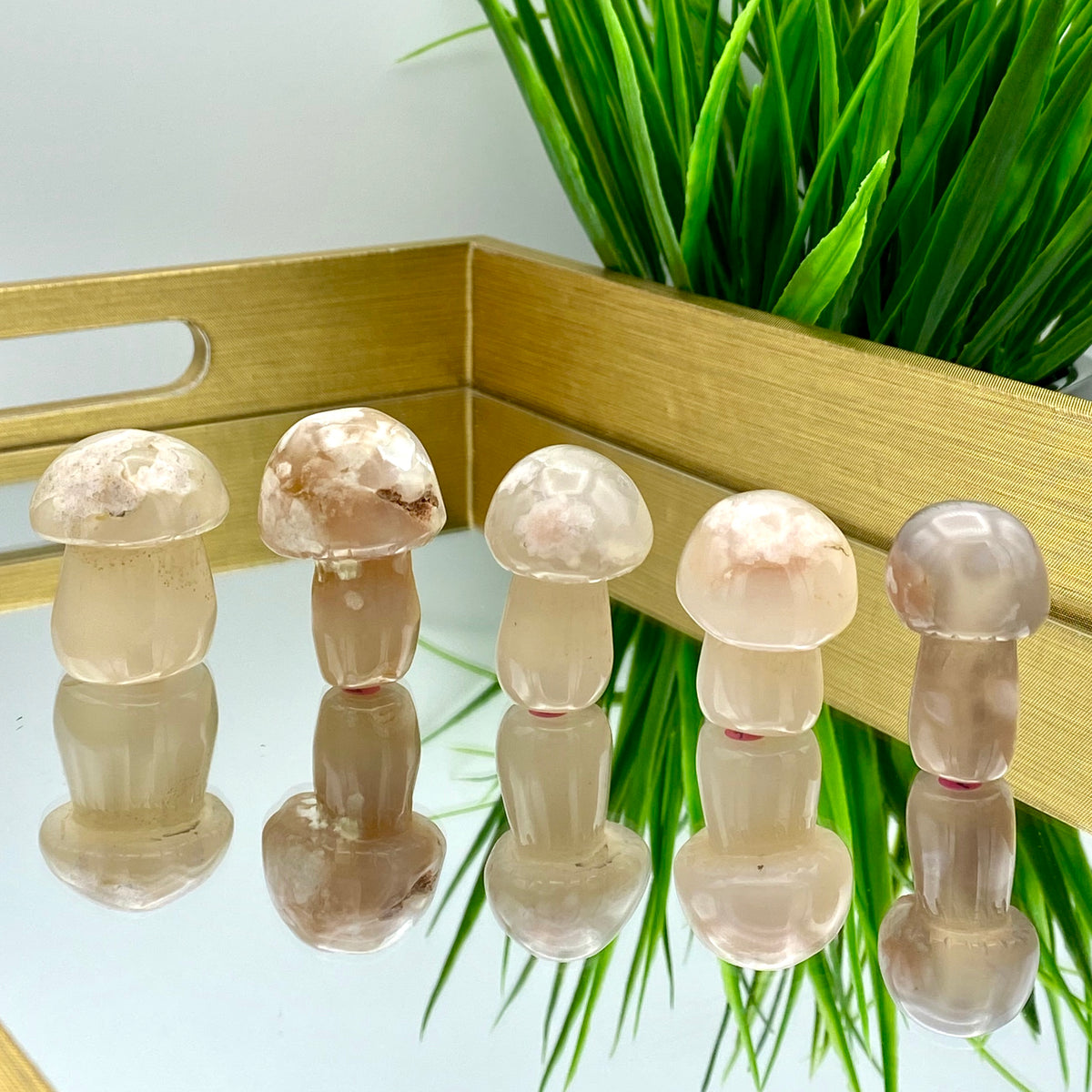 Flower Agate Mushrooms