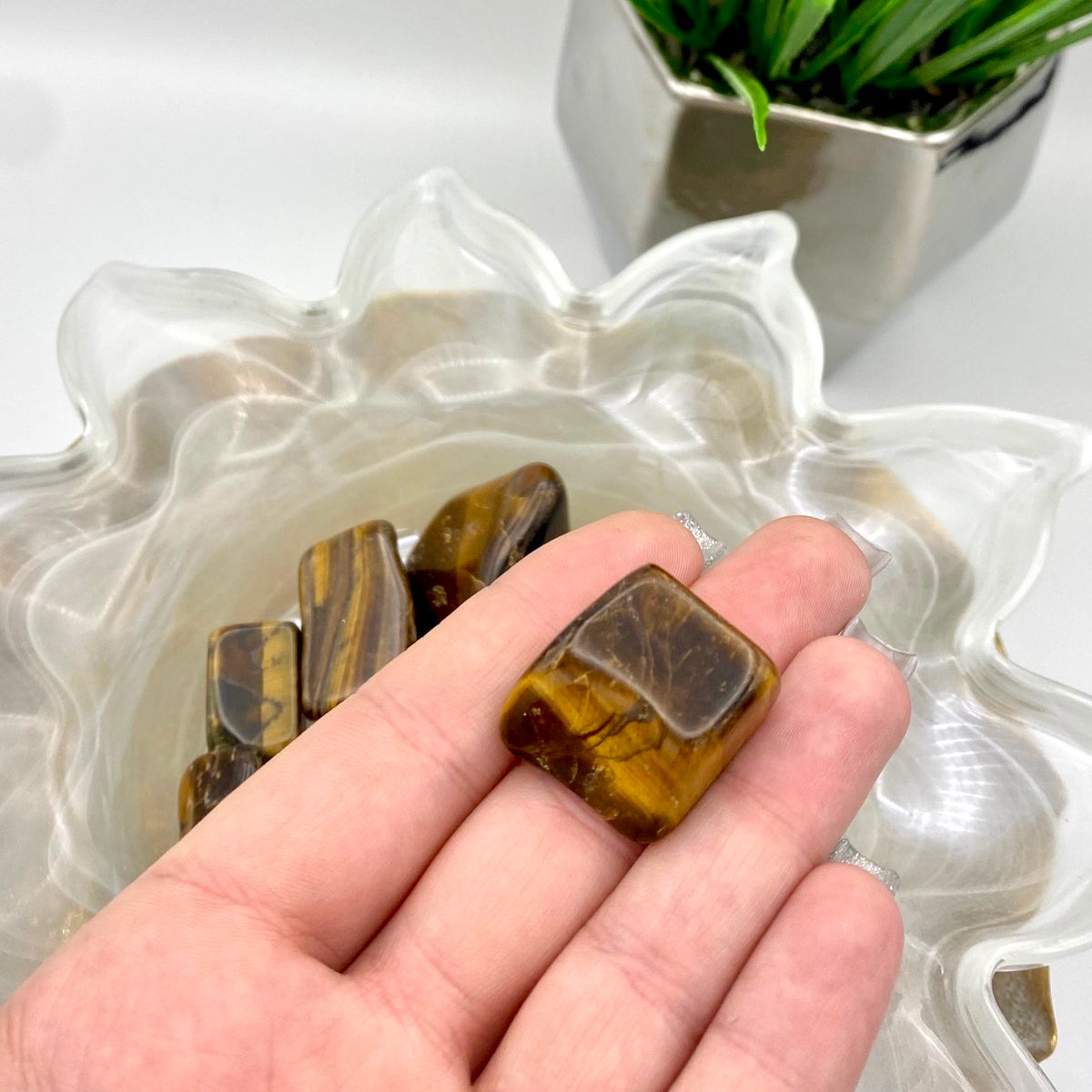 Tiger's Eye Tumbles