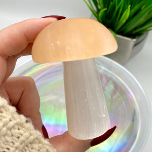 Satin Spar / Selenite / Peach Selenite Mushrooms