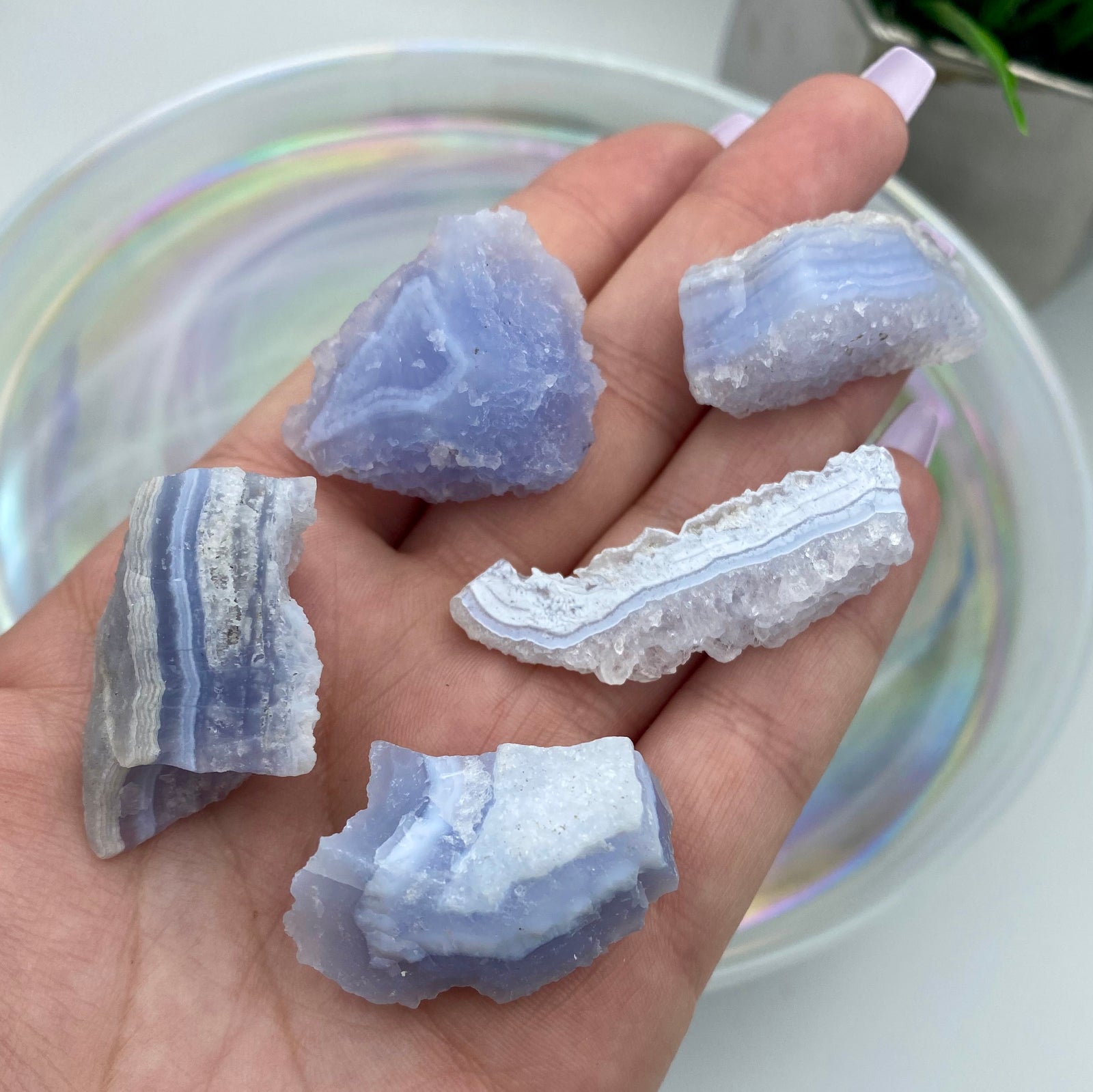 Blue Lace Agate Rough Stone