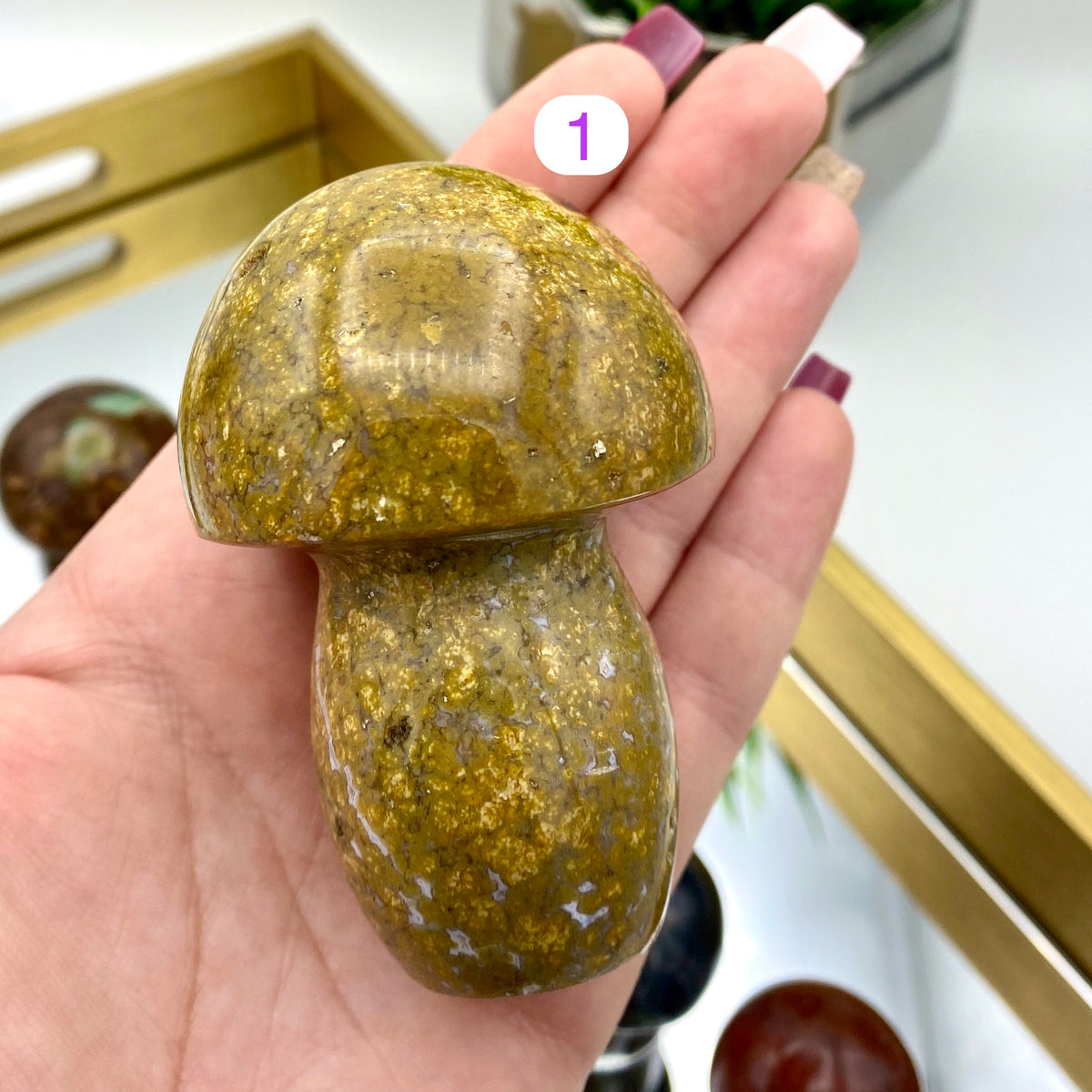 Ocean Jasper Mushrooms