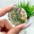 Moss Agate Round Slabs