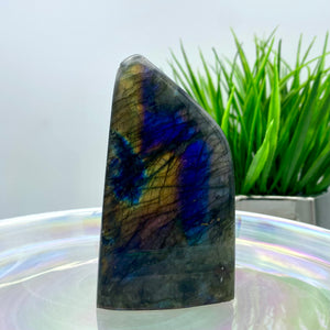 Labradorite Freeform #5