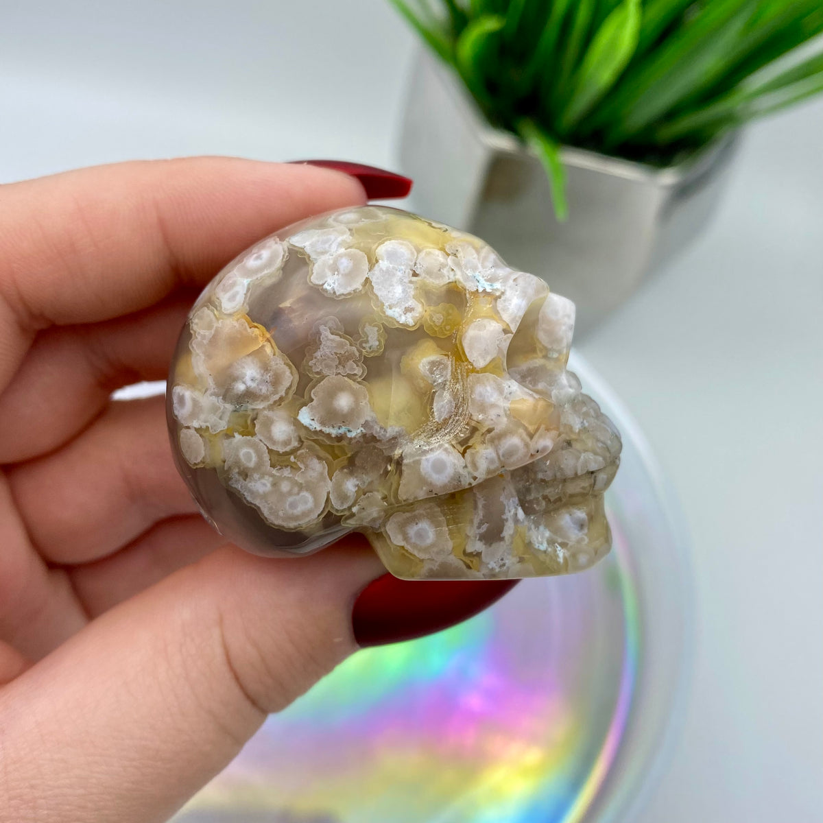Flower Agate Skull #1